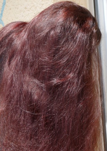 couleur de cheveux